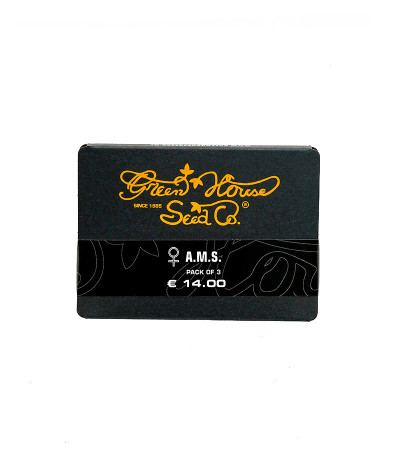 Семена сорта AMS fem