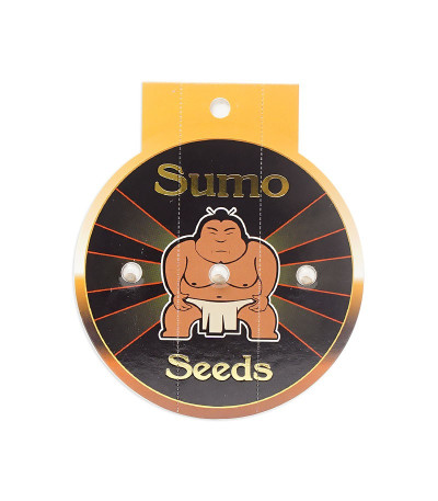Семена сорта Sumo's OG Kush Auto fem (Sumo Seeds)