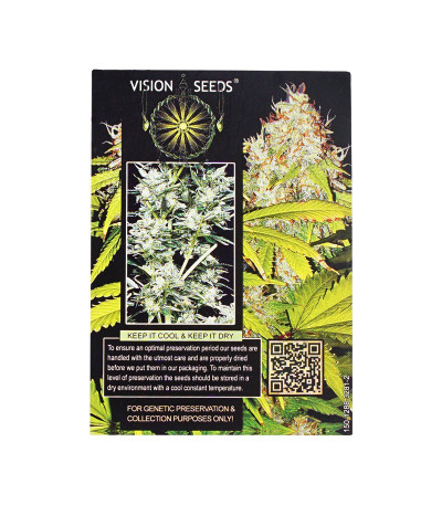 Семена сорта AK-49 Auto Fem (Vision Seeds)