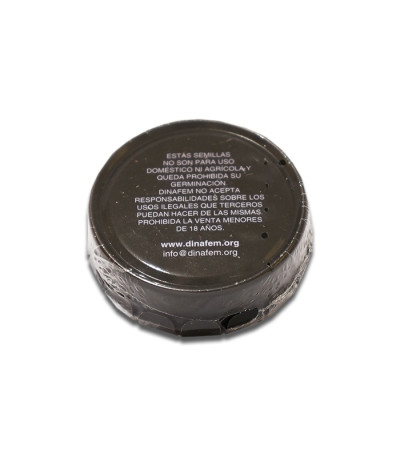 Семена сорта Haze Autoflowering fem (Dinafem Seeds)