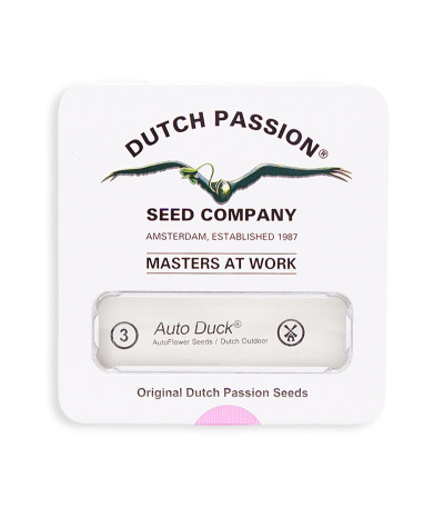 Семена конопли Auto Duck в оригинальной упаковке