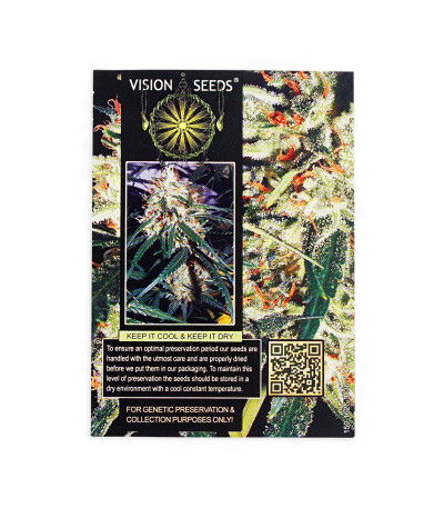 Семена сорта Delhi Cheese Auto Fem (Vision Seeds)