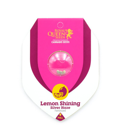 Семена сорта Lemon Shining Silver Haze (Lemon Haze) fem