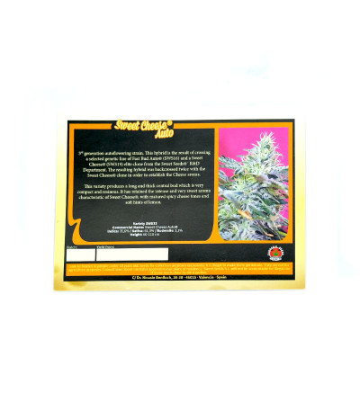 Семена сорта Sweet Cheese Auto fem (Sweet Seeds)