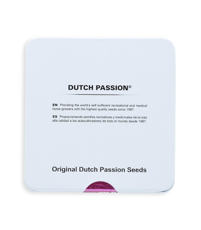 Семена сорта Auto Banana Blaze (Dutch Passion)