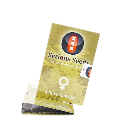 Семена сорта White Russian fem (Serious Seeds)