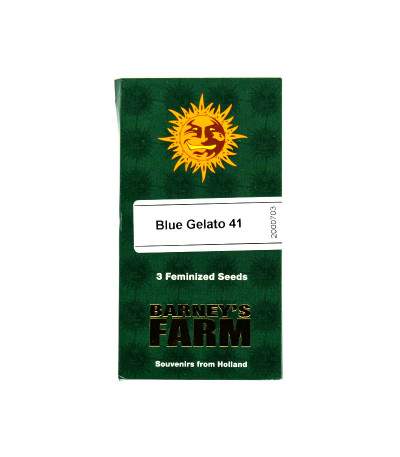 Семена сорта Blue Gelato 41 (Barney's Farm)