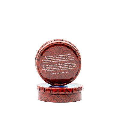 Семена сорта 00 Kush fast fem (00 Seeds)