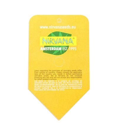 Семена сорта OG Kush Automatic fem (Nirvana Seeds)