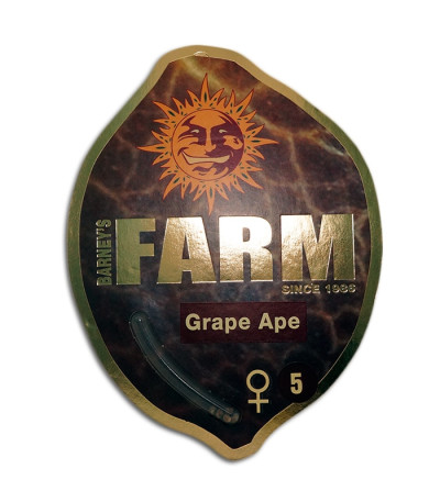 Семена сорта Grape Ape fem (Barney's Farm)