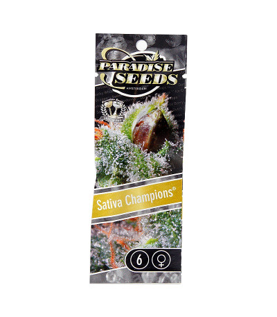 Микс семян конопли Sativa Champions Pack fem (Paradise Seeds)