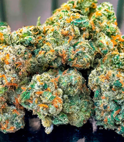 Семена сорта Jack Herer fem (Seedkeepers)