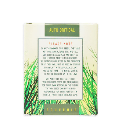 Семена сорта Auto Critical fem (Victory Seeds)