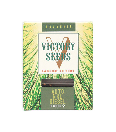 Семена сорта Auto NHL Diesel fem (Victory Seeds)