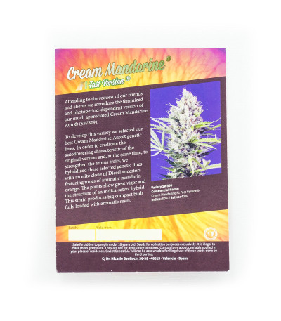 Семена сорта Cream Mandarine F1 Fast Version fem (Sweet Seeds)