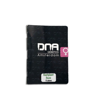 Семена сорта Hashplant Haze fem (DNA Genetics)