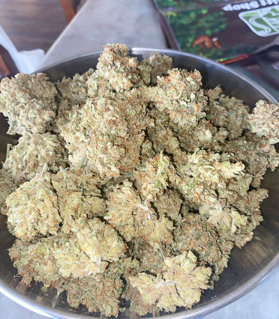 Семена сорта Original Auto Sour Diesel fem (FastBuds)