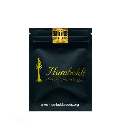 Семена сорта Runtz Fast Flowering fem (Humboldt Seed Organization)