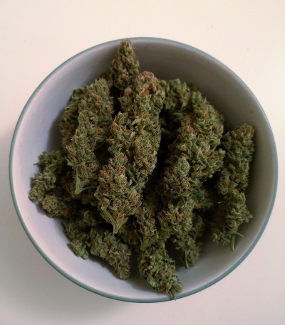 Семена сорта Cookies Purple Punch fem (Medical Seeds)