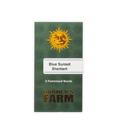 Семена сорта Blue Sunset Sherbert fem