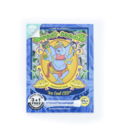 Семена сорта NYC Diesel CBD fem (Sweet Seeds)