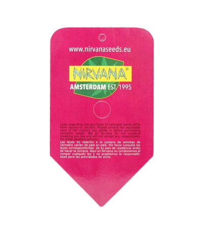 Семена сорта Sterling Haze fem (Nirvana Seeds)