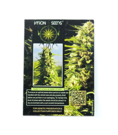 Семена сорта Critical Impact fem (Vision Seeds)