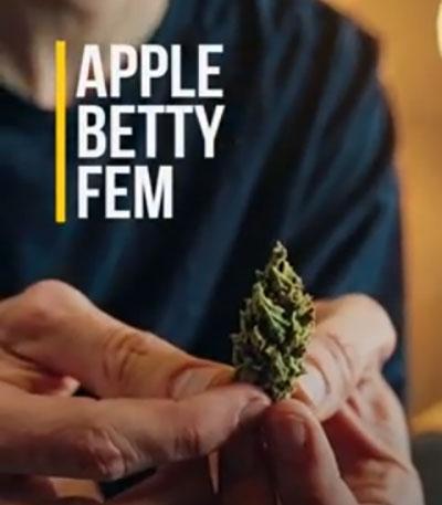 Семена сорта Apple Betty fem (Herbies Seeds)