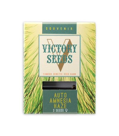 Семена сорта Auto Amnesia Haze fem (Victory Seeds)