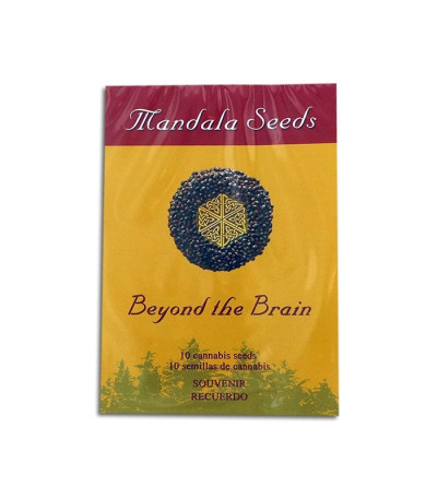 Семена сорта Beyond the Brain reg