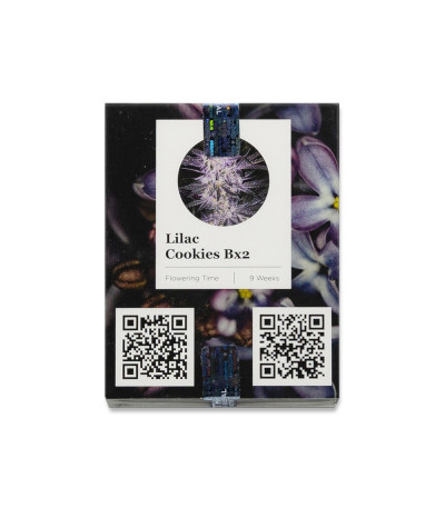 Семена сорта Lilac Cookies Bx2 reg (Ethos Genetics)