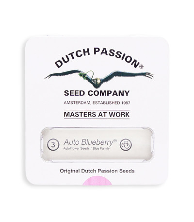 Семена сорта Auto Blueberry fem (Dutch Passion)