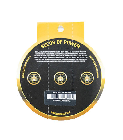 Семена сорта Violet's Wonder Auto fem (Sumo Seeds)