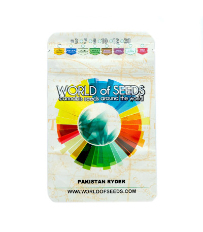 Семена сорта Pakistan Ryder Auto fem (World of Seeds)