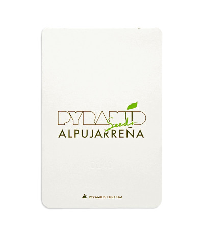 Семена сорта Alpujarrena fem (Pyramid Seeds)