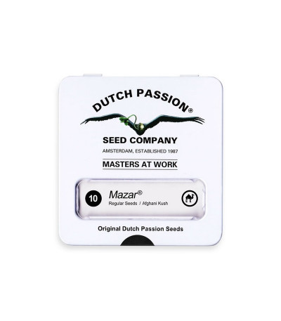 Семена сорта Mazar reg (Dutch Passion)