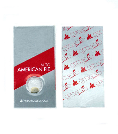 Семена сорта Auto American Pie fem (Pyramid Seeds)