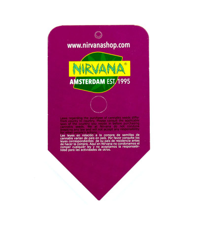 Семена сорта K-2 fem (Nirvana Seeds)