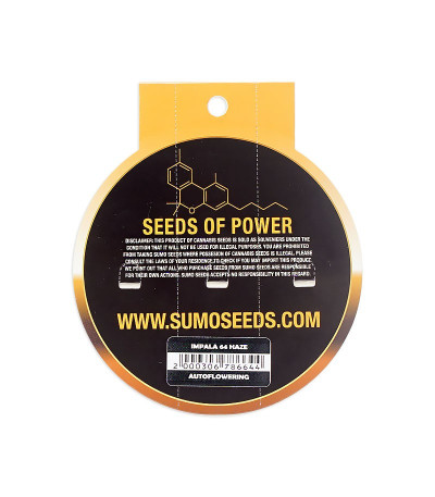 Семена сорта Impala 64 Haze Auto fem (Sumo Seeds)