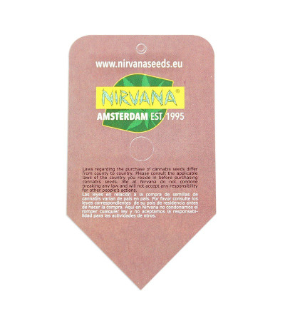 Семена сорта Master Kush reg (Nirvana Seeds)