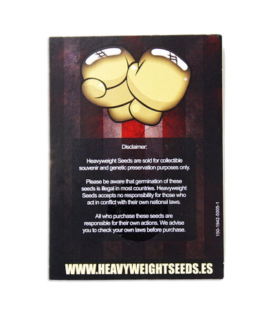 Семена сорта High Density Auto fem (Heavyweight Seeds)