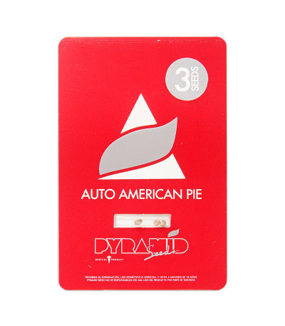 Семена сорта Auto American Pie fem (Pyramid Seeds)