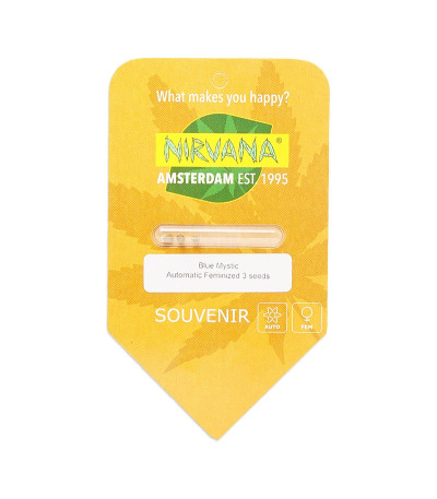 Семена сорта Blue Mystic Automatic (Blueberry Auto) fem (Nirvana Seeds)