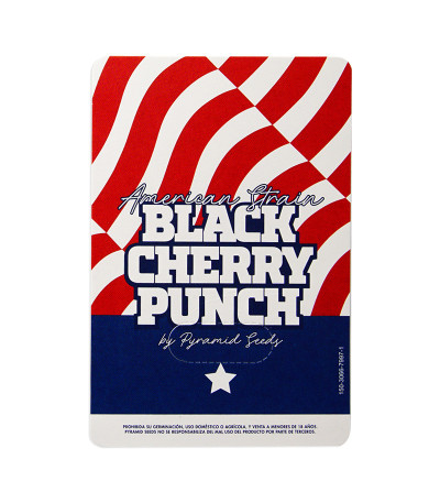 Семена сорта Black Cherry Punch fem (Pyramid Seeds)