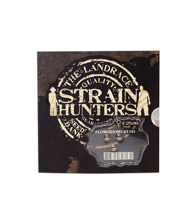 Семена сорта Flowerbomb Kush fem (Strain Hunters)