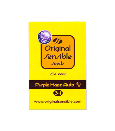 Семена сорта Purple Haze Auto fem (Original Sensible Seeds)