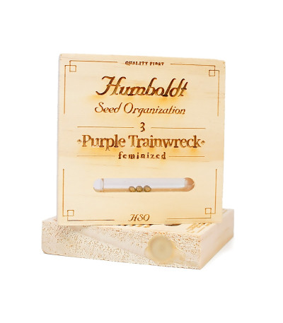 Семена сорта Purple Trainwreck fem