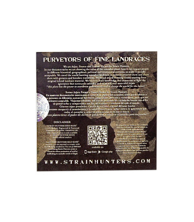 Семена сорта Big Tooth fem (Strain Hunters)