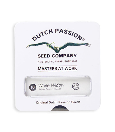 Семена конопли White Widow regular в оригинальной упаковке