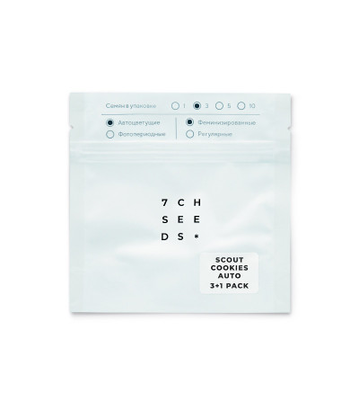 Семена сорта Scout Cookies auto fem (Семяныч)
